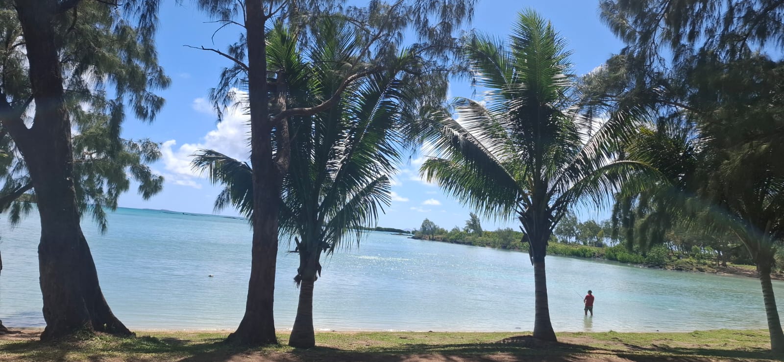 Palm trees framing a calm Mauritius lagoon